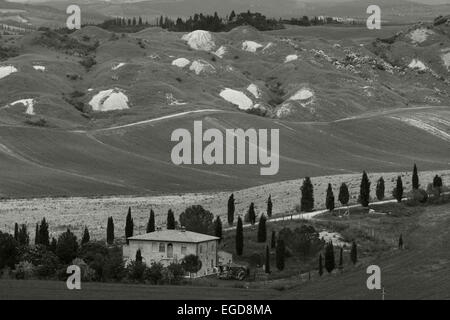 Kreta, Landschaft mit Hütte, Zypressen, Val dOrcia, Clayhills, Orcia-Tals, UNESCO-Weltkulturerbe, typisch toskanische Landschaft bei Taverne D´Arbia, Provinz Siena, Toskana, Italien, Europa Stockfoto