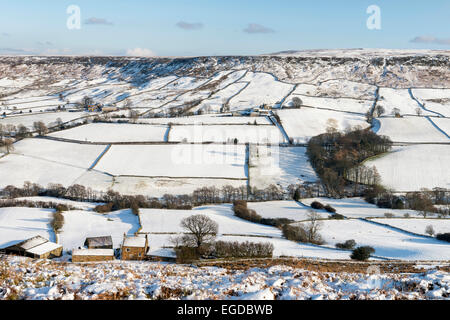 Danby Dale im winter Stockfoto