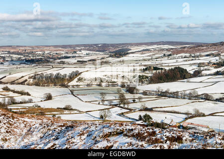 Danby Dale im winter Stockfoto