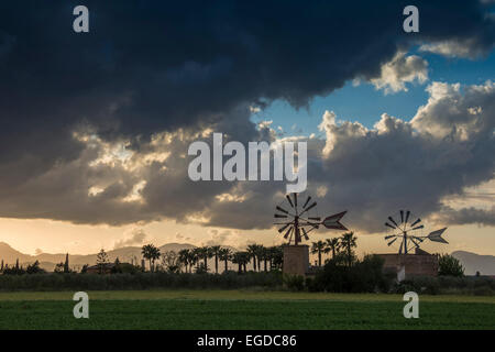 Alte Windmühlen in Sant Jordi, in der Nähe von Palma De Mallorca, Mallorca, Spanien Stockfoto