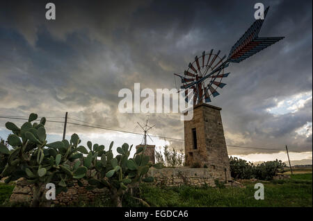 Alte Windmühlen, Sant Jordi, in der Nähe von Palma De Mallorca, Mallorca, Spanien Stockfoto