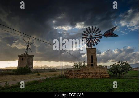 Alte Windmühlen, Sant Jordi, in der Nähe von Palma De Mallorca, Mallorca, Spanien Stockfoto