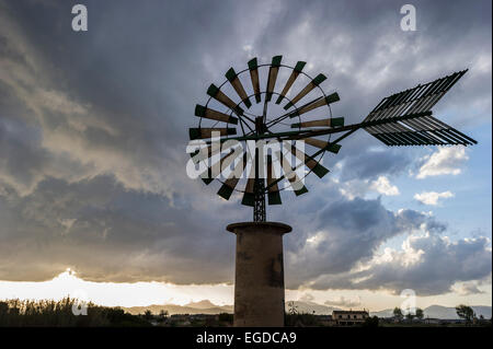 Alte Windmühlen, Sant Jordi, in der Nähe von Palma De Mallorca, Mallorca, Spanien Stockfoto