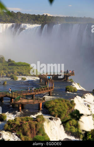 Brasilien, Parana, Iguassu Falls National Park (Cataratas Do Iguaçu) (der UNESCO), Teufelskehle (Garganta Do Diabo) Stockfoto
