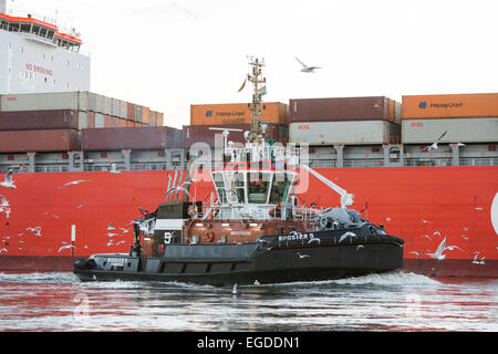 Traktor Schlepper vor ein Containerschiff, Altenwerder, Hamburg, Deutschland Stockfoto