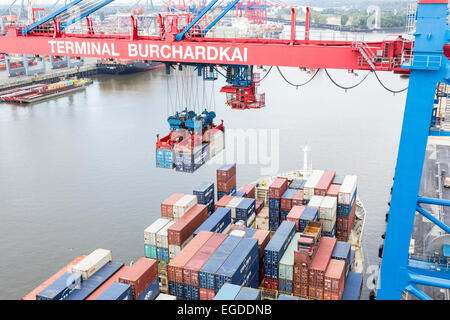 Tandem-Container Kran zum Be- und Entladen eines Schiffes, Burchardkai, Hamburg, Deutschland Stockfoto