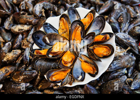 Anzeige von Muscheln auf dem Fischmarkt in Trouville-sur-mer, untere Normandie, Normandie, Frankreich Stockfoto
