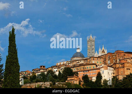 Stadtbild mit Dom, die Cattedrale di Santa Maria Assunta, Siena, Toskana, Italien Stockfoto