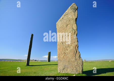 Neolithische Denkmal auf dem Festland von Orkney, Standing Stones of Stenness, UNESCO World Heritage Site The Heart of Neolithic Orkney, Orkney Inseln, Schottland, Großbritannien, Vereinigtes Königreich