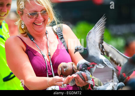 Tauben stehen auf dem Arm einer Frau, die mit einigen von ihnen füttern ist herumfliegen am Stadtplatz in Barcelona, Spanien Stockfoto