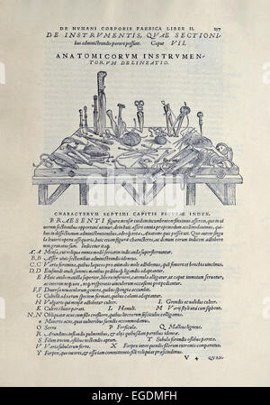 Chirurgische Instrumente in das Sezieren von Leichen zur Anatomie des Menschen zu verstehen. Von "De Humani Corporis Fabrica Libri Septem" von Andreas Vesalius (1514-1564) veröffentlichte im Jahre 1543. Siehe Beschreibung für mehr Informationen. Stockfoto