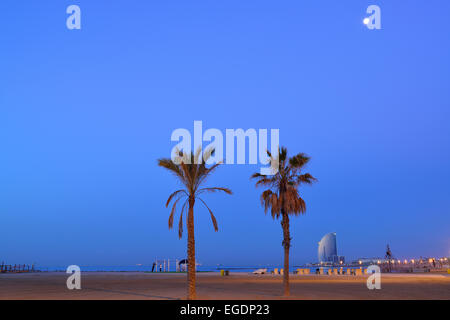 Hotel W und Strand mit Palmen, Nachtbeleuchtung, Architekt Ricardo Bofill, Barceloneta, Barcelona, Katalonien, Spanien Stockfoto