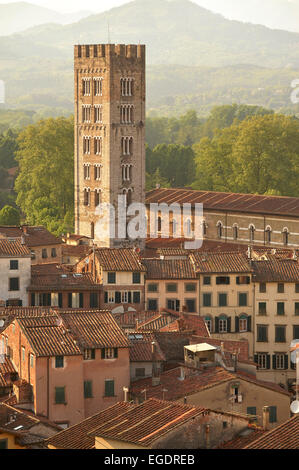 Blick über die alte Stadt Lucca vom Torre Guinigi, Lucca, Toskana, Italien Stockfoto