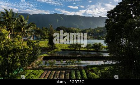 Samosir Island am Lake Toba Stockfoto