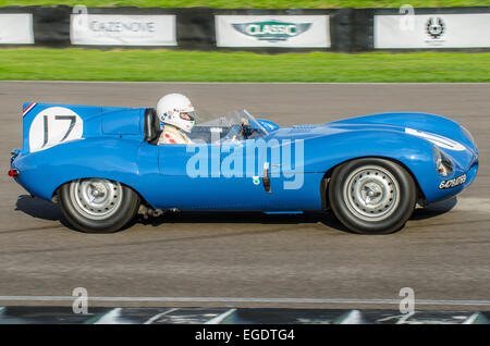 Der Jaguar D-Type ist ein Sport Rennwagen, die von Jaguar Cars Ltd. zwischen 1954 und 1957 produziert wurde. 1955 lange Nase Variante. Goodwood Revival Stockfoto