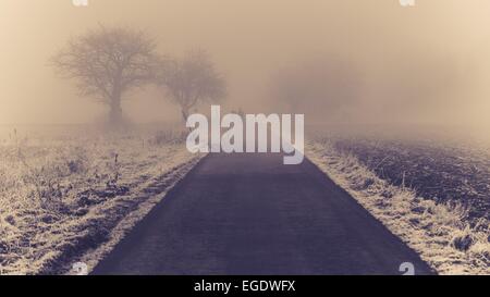 Schnee und Nebel in Heidelberg Stockfoto