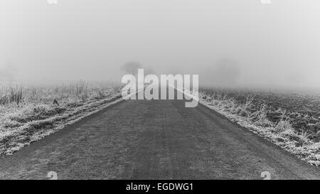 Schnee und Nebel in Heidelberg Stockfoto