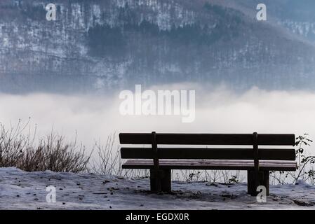 Schnee und Nebel in Heidelberg Stockfoto