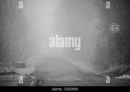 Schnee und Nebel in Heidelberg Stockfoto