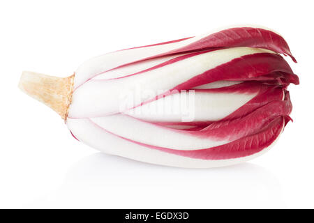 Radicchio, roter Treviso Chicorée isoliert auf weiss, Schneidepfad enthalten Stockfoto