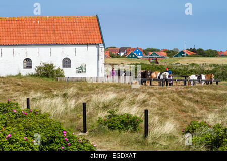 Reiten Sie, Ställe auf Spiekeroog Insel, Nationalpark, Nordsee, Ostfriesischen Inseln, Ostfriesland, Niedersachsen, Deutschland, Europa Stockfoto