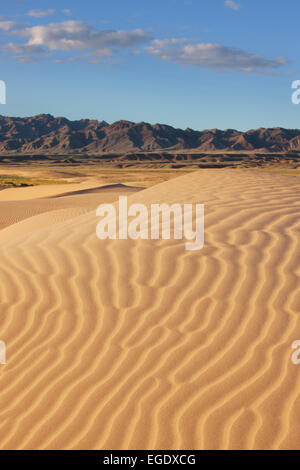 Khongoryn Els Sanddünen, Omnogov, The Gobi, Mongolei Stockfoto