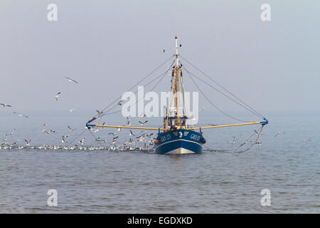 Fishingboat mit Möwen aus Norderney Insel, Nationalpark, Nordsee, Ostfriesischen Inseln, Ostfriesland, Niedersachsen, Deutschland, Europa Stockfoto