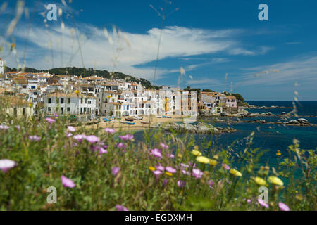 Ansicht von Calella de Palafrugell, Palafrugell, Costa Brava, Spanien Stockfoto