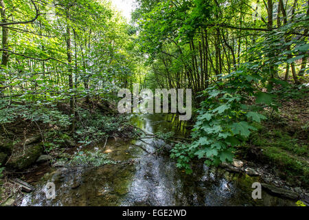 Kneippkur, Hydrotherapie im Fluss Ruhr, ein Themenweg Wandern im Sauerland, Deutschland, Stockfoto