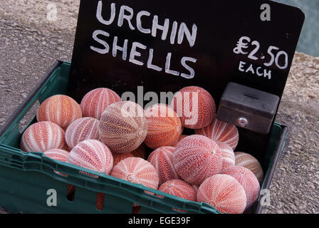 St.Mawes,Cornwall,UK,showing Hafen, Boote, Möwe, Shell-Verkäufer, Geschäfte, Cafés, Restaurants alte Garage mit alten Shell-pumps.a UK Stockfoto