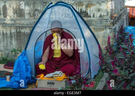 Mönch im Zelt, Mahabodhi-Tempel von Bodhgaya Stockfoto