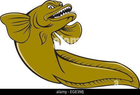 Abbildung von einem wütenden Aalmutter, Knochenfische Familie Zoarcidae, betrachtet aus einem niedrigen Winkel auf isolierten weißen Hintergrund im Cartoon-Stil gemacht. Stockfoto