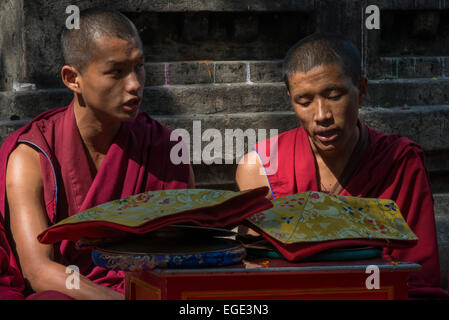 Junge Mönche, Mahabodhi-Tempel von Bodhgaya Stockfoto