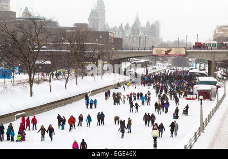 Ottawa Ontario Kanada der Hauptstadtregion. Rideau Canal Skateway 7,8 Kilometer Skating. Stockfoto