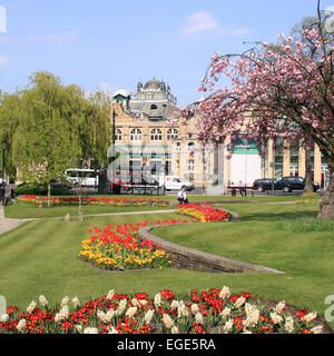 Crescent Gardens an einem sonnigen Frühlingstag mit The Royal Hall im Hintergrund / Harrogate / North Yorkshire / UK Stockfoto