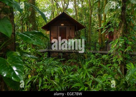 Costa Rica. Nationalpark Tortuguero, Evergreen Lodge Bungalow im Dschungel Stockfoto