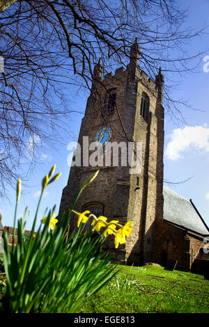 Kirche St. Edmund, Sedgefield County Durham Stockfoto