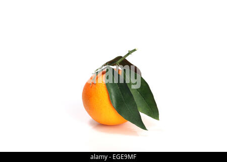 Orange mit grünen Leavse isoliert Stockfoto