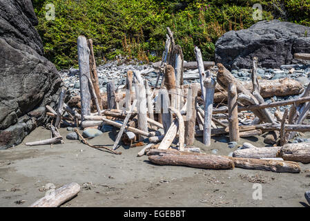 Treibholz auf Hidden Beach. Nord-Kalifornien, USA. Stockfoto