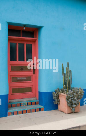 Tucson Tür mit saftigen Pflanzer Stockfoto