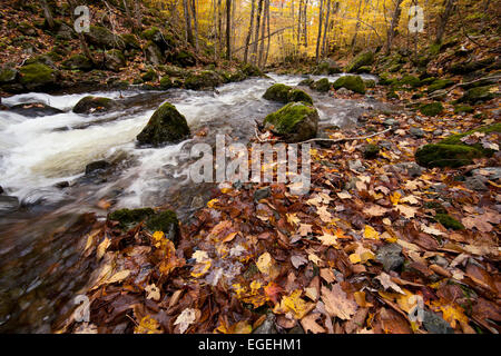 Farben des Herbstes in Uisge Bahn Falls Provincial Park, Nova Scotia, Kanada Stockfoto