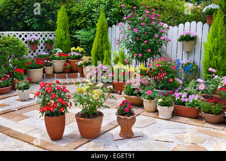 Haus Garten Stockfoto