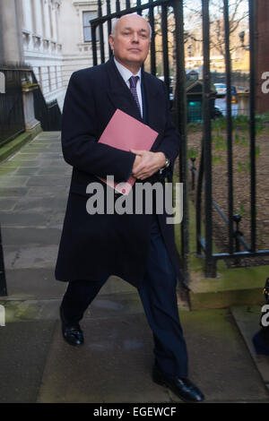 London, UK. 24. Februar 2015. Minister kommen bei der wöchentlichen Kabinettssitzung in 10 Downing Street. Im Bild: Staatssekretär für Arbeit und Renten Iain Duncan Smith Credit: Paul Davey/Alamy Live-Nachrichten Stockfoto