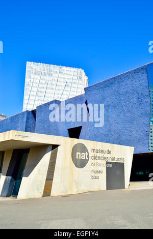 Museu Blau und Telefonica Gebäude. Barcelona, Katalonien, Spanien. Stockfoto