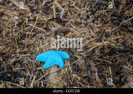 Liverpool, Merseyside, UK. 24. Februar 2015. UK Wetter Crosby, öffentlichen Strand mit Treibholz, Schutt und Müll übersät aus Kunststoff nach dem Sturm. Crosby Strand ist jetzt das dauerhafte Haus" an einen anderen Ort', die Skulptur von international renommierten Künstler Antony Gormley. Der Strand hat die Qualität Coast Award von Großbritannien sauber zu halten ausgezeichnet worden. Die QCA award erzählt den Besuchern, dass die Standards der Strand Management sind von höchster Qualität in Großbritannien. Stockfoto