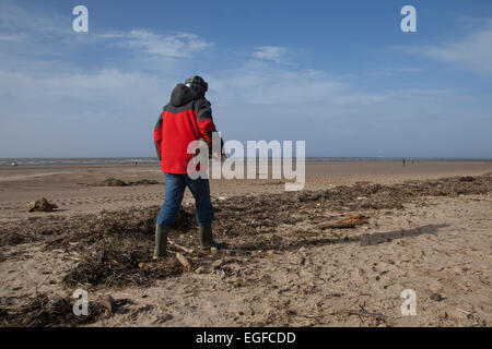 Rentner driftwood Sammeln hinterlegt auf dem Vorland, an der High Water Mark, nachdem über Nacht Sturmwind in der Irischen See links am Strand von Treibholz, Müll und Schmutz bedeckt Stockfoto