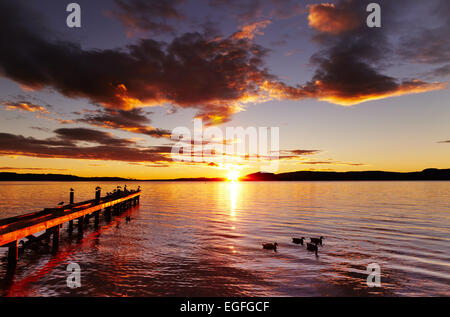 Lake Rotorua bei Sonnenaufgang, Nordinsel, Neuseeland Stockfoto