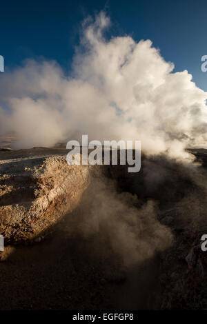 Sol de Mañana Geysir im Morgengrauen, Reserva Eduardo Avaroa, Bolivien Stockfoto