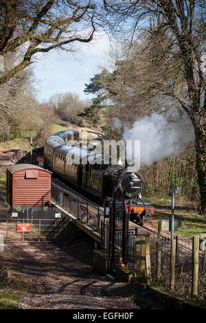 Goliath Dampflok bei Greenway Halt, die Dartmouth Steam Railway, früher bekannt als Paignton und Dartmouth Steam Railway, ist Stockfoto