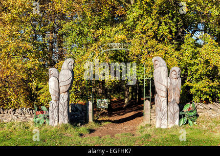 Der Eingang zum "Enchanted Wood" in Adderstone Field in Dalby forest Stockfoto